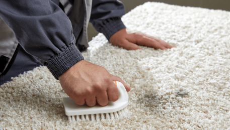 Professional Rug Cleaning Armadale